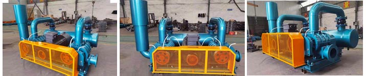 雙級(jí)串聯(lián)羅茨風(fēng)機(jī)選型 雙級(jí)串聯(lián)羅茨風(fēng)機(jī)選型