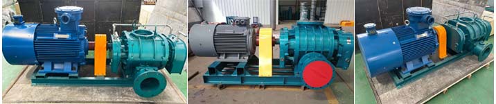 直聯傳動羅茨風機 直聯傳動羅茨風機