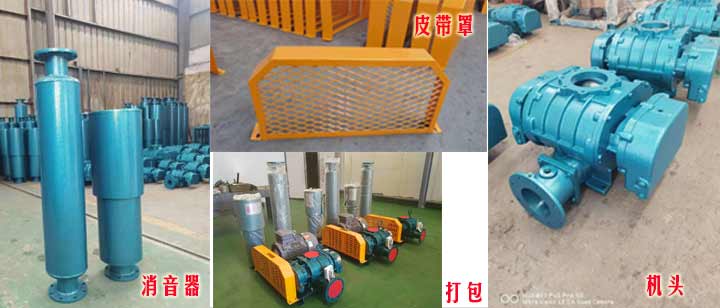 三葉羅茨風(fēng)機(皮帶型)實拍 三葉羅茨風(fēng)機(皮帶型)實拍