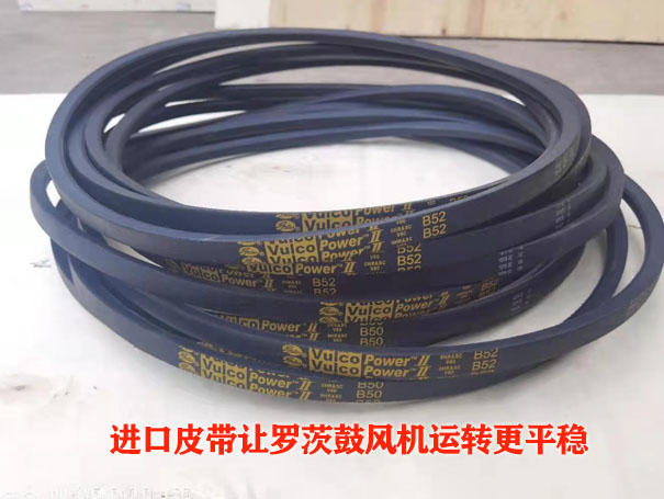 羅茨鼓風(fēng)機皮帶 羅茨鼓風(fēng)機皮帶