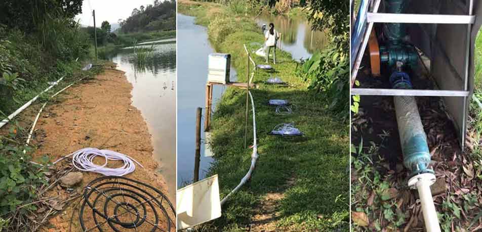 羅茨鼓風機魚塘打氧有講究，水產養殖戶必看