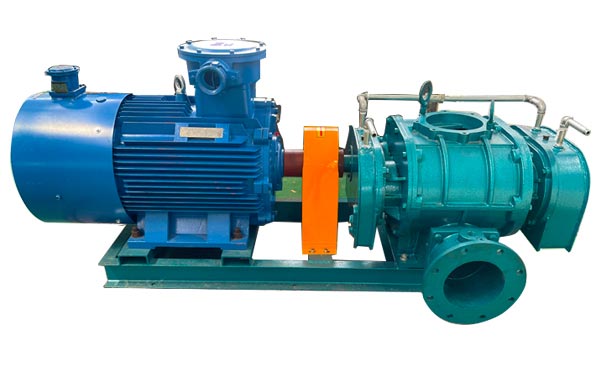 直連傳動羅茨鼓風機 直連傳動羅茨鼓風機